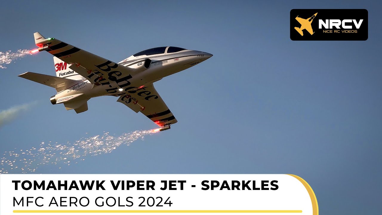 TOMAHAWK VIPER JET | MFC AERO GOLS 2024 | Behotec 220 | JETI Duplex | Pilot: Phillipp Geyer