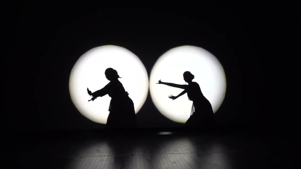 Shadow Dance | Radha hi Bawari | More Piya Devdas