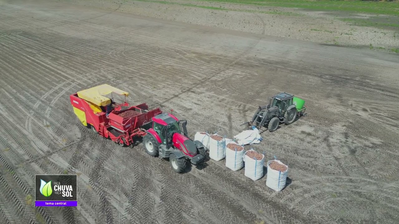 Reportagem Faça Chuva Faça Sol sobre a batata