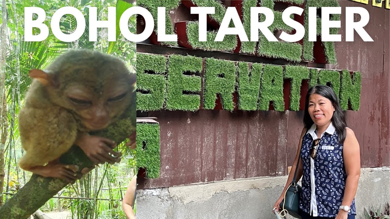 TARSIER | BOHOL TARSIER CONSERVATION AREA | Beth Cabanero
