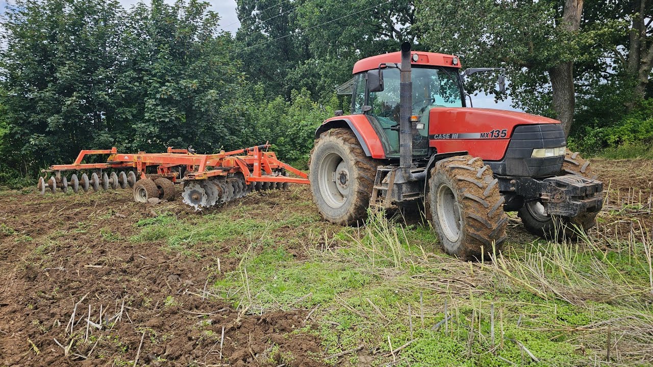 Case MX 135 & Kuhn 5m | Talerzowanie Rzepaczyska|