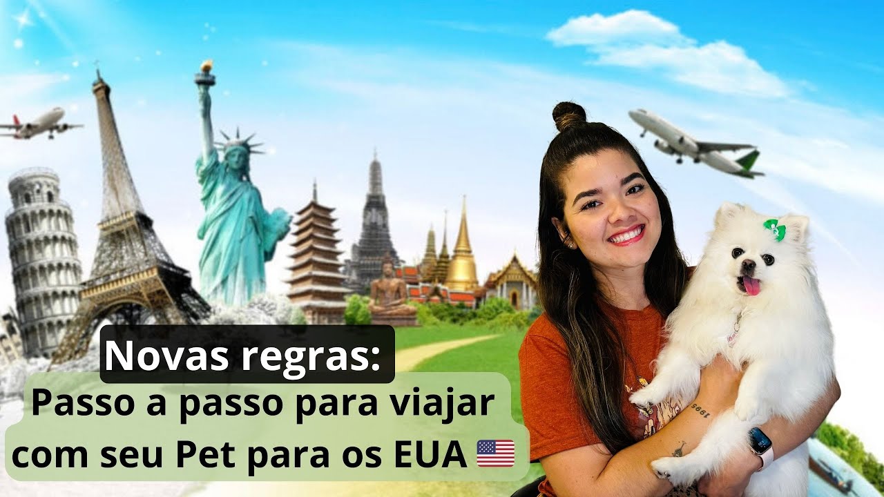 Como Viajar Com Seu Pet Para os EUA? Passo a Passo Completo Com Novas Regras!!