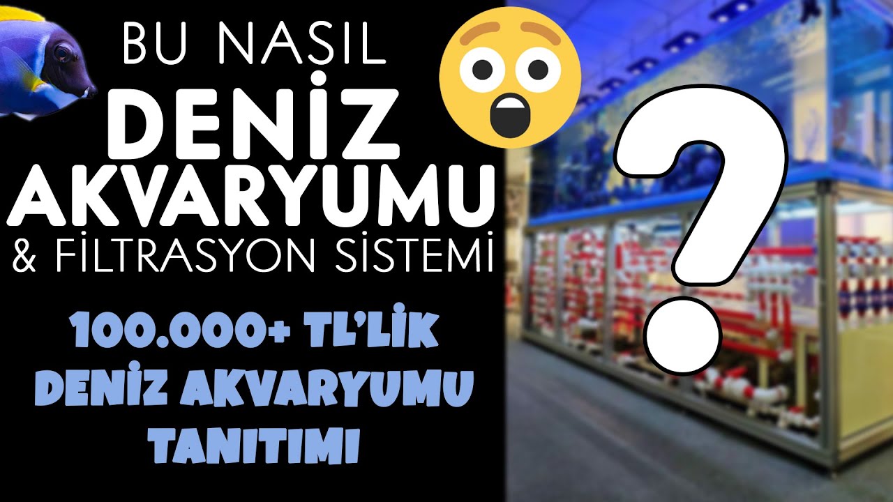 Uyuşturucu Üretim Tesisi Gibi Deniz Akvaryumu Sistemi😵 - Deniz Akvaryumu Tanıtımı