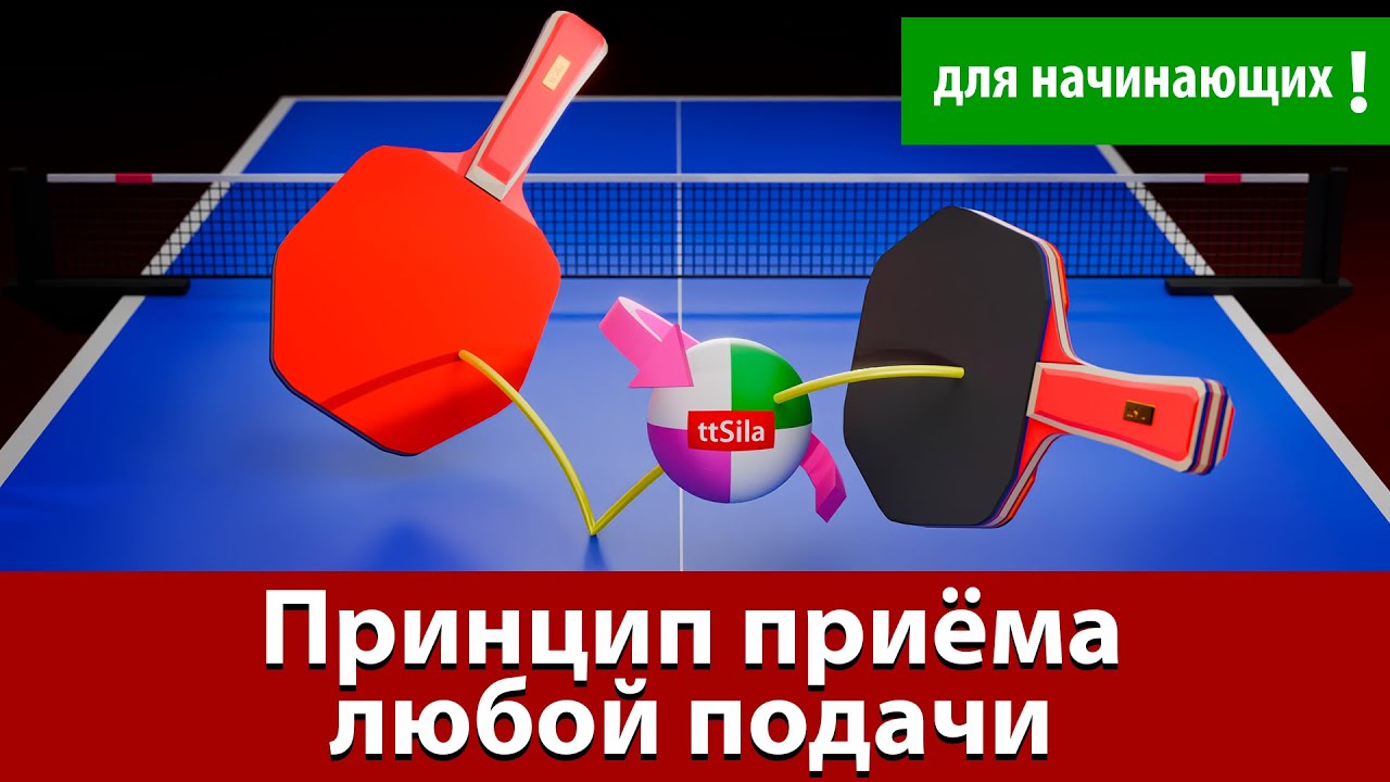 Как научиться принимать любую подачу. Настольный теннис для начинающих