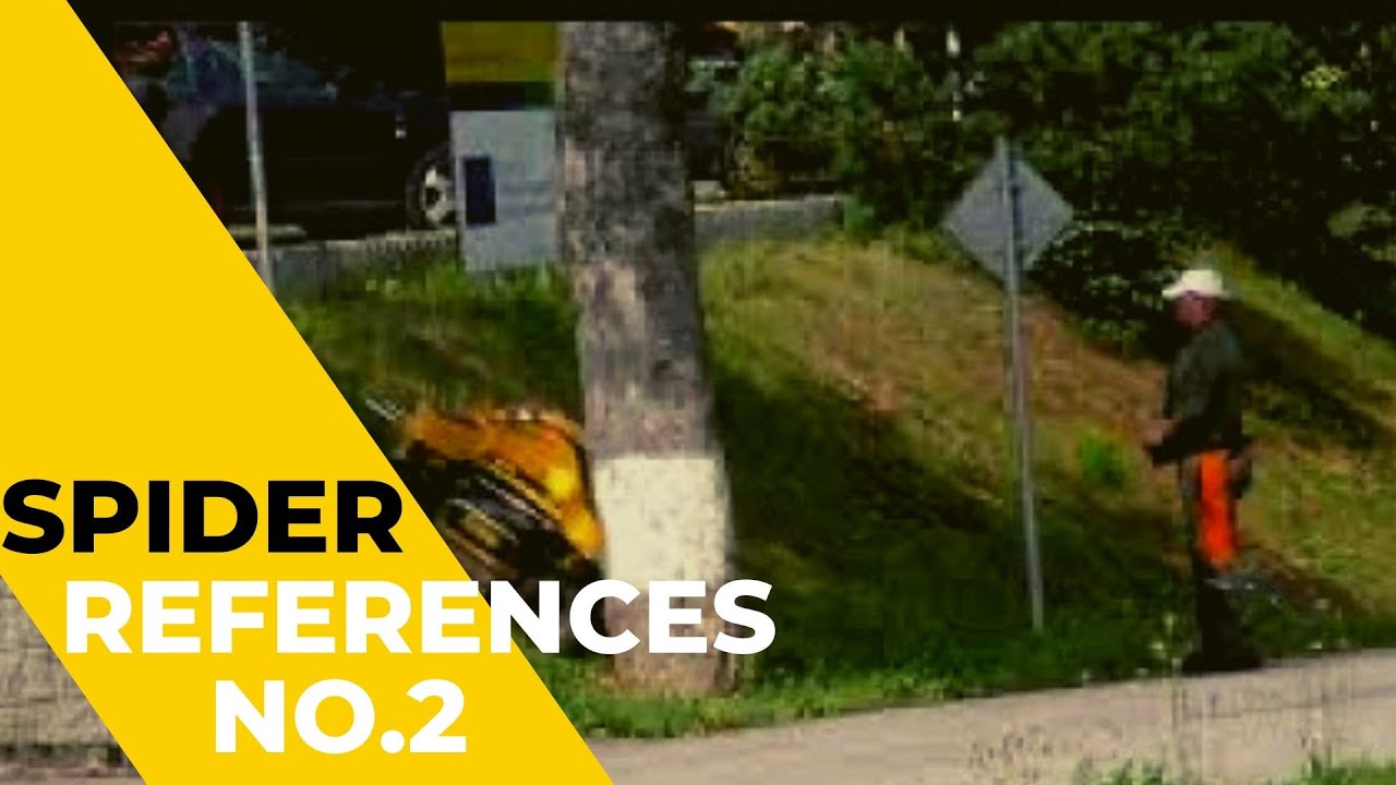 References🤩 - People with SPIDER no.2