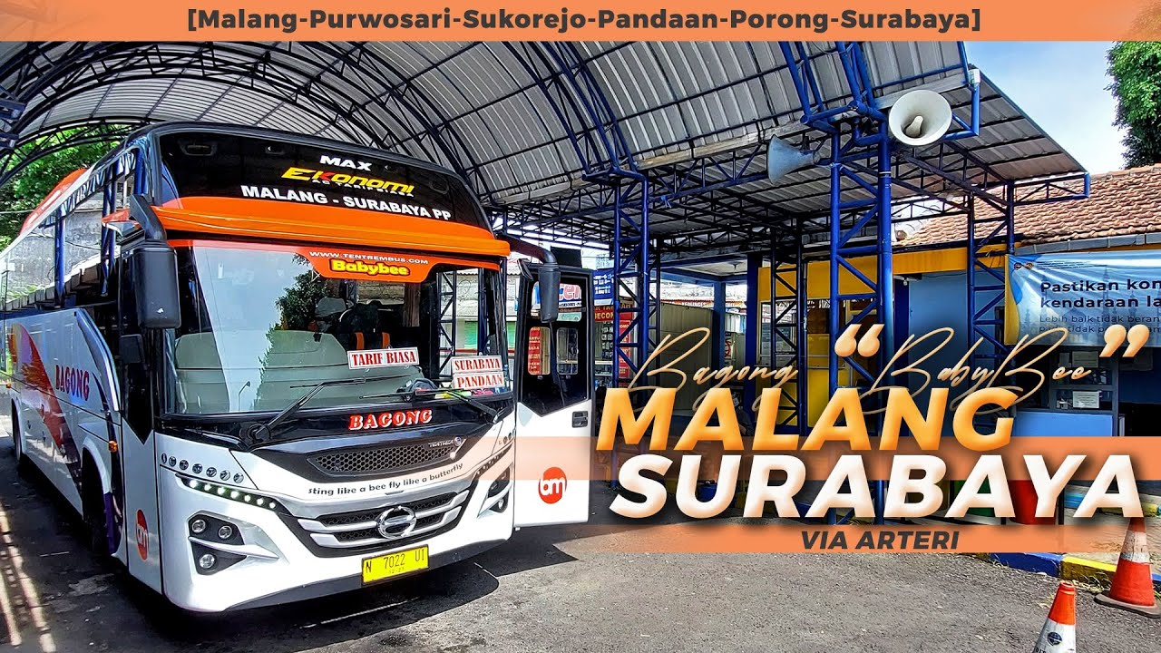 PERSAINGAN JALUR ARTERI MAKIN PANAS! TRIP BUS BAGONG 