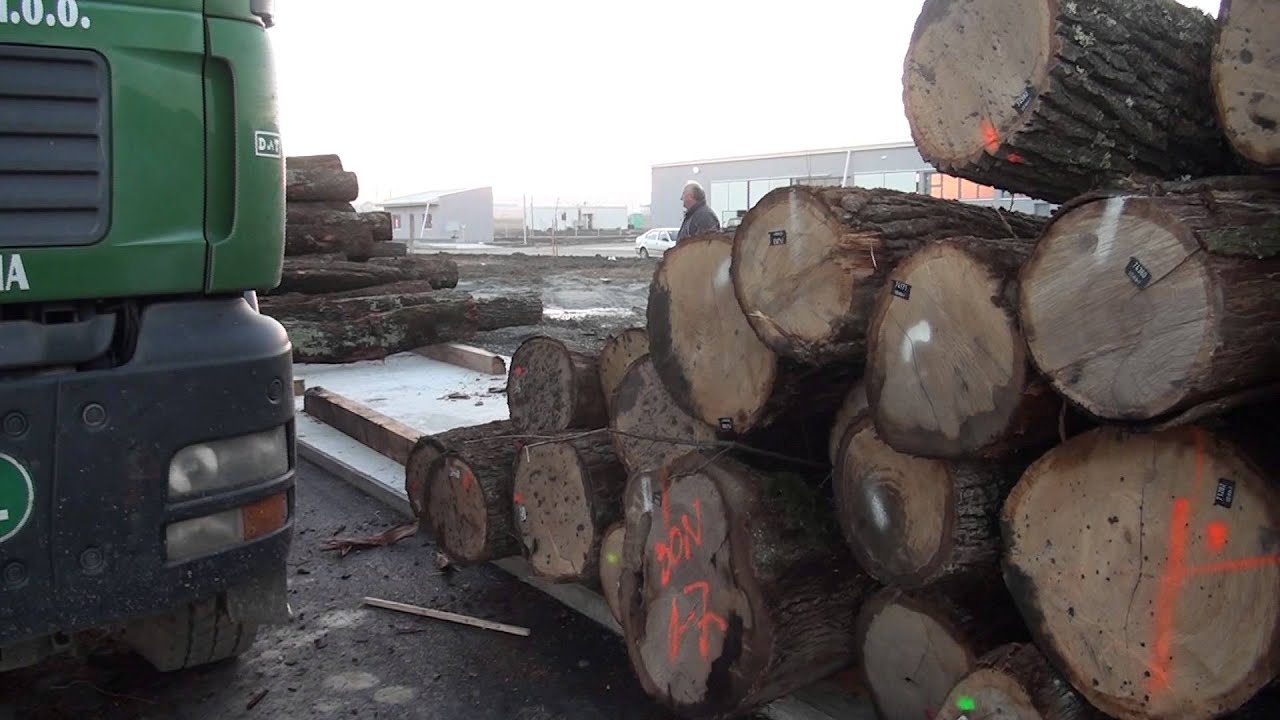 Drvo-trgovina Slatina - Prvi trupci u novoj tvornici, 12.12.2014.