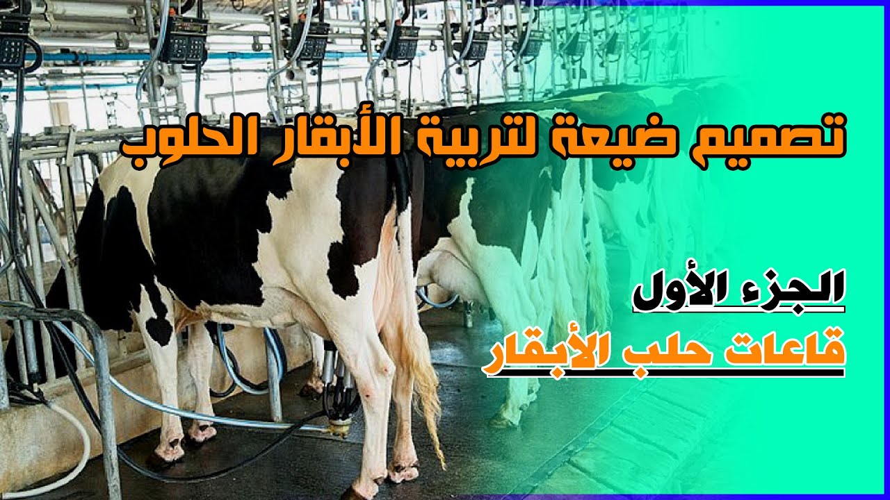 تصميم شامل لضيعة تربية الأبقار الحلوب (الجزء الأول : قاعات الحلب)