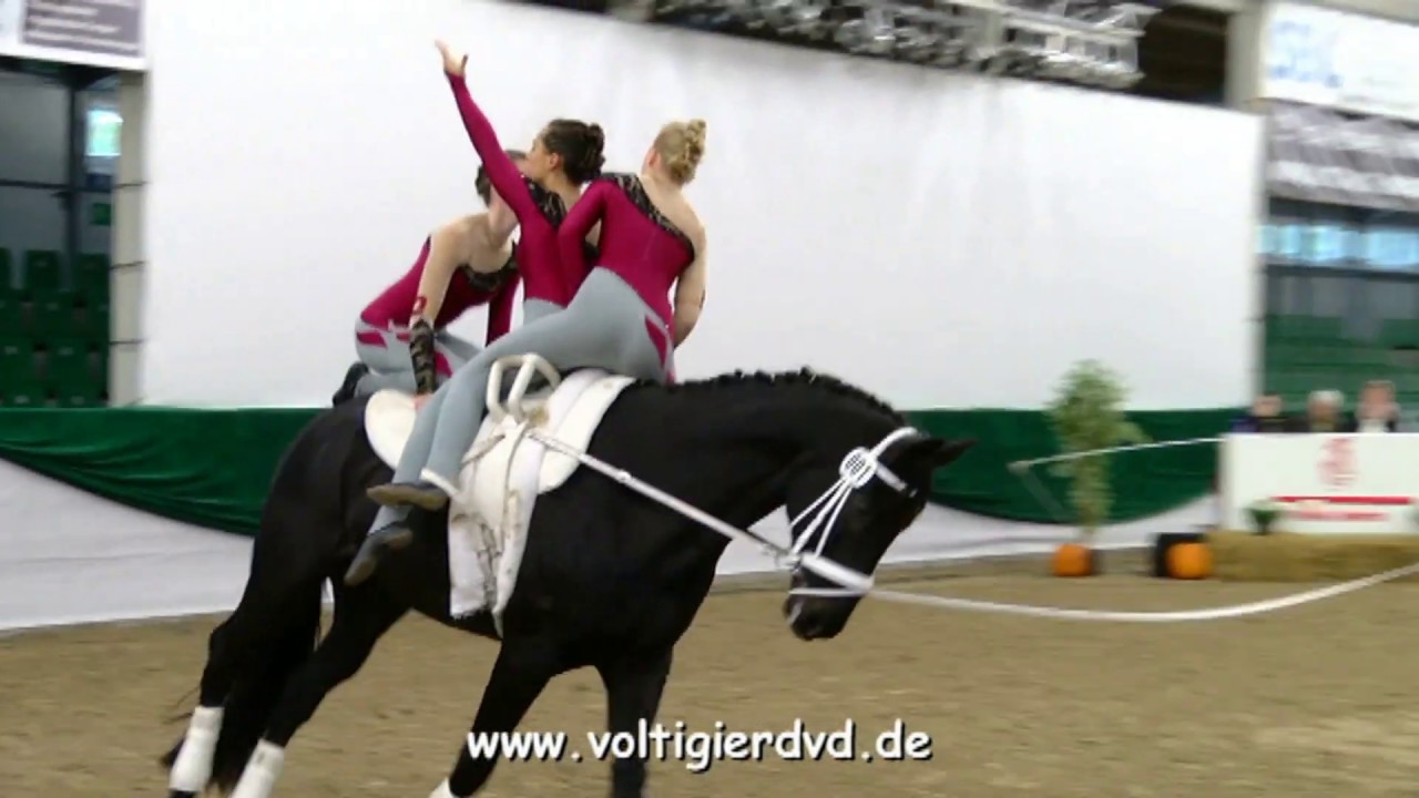 Hoisbuettel 3 (SHO) - 1. Abteilung 05 - Deutscher Voltigierpokal Zweibrücken 2018
