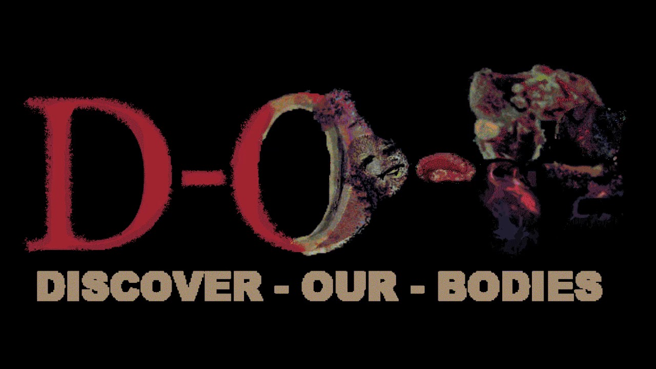 Discover Our Bodies - Dual Love Form