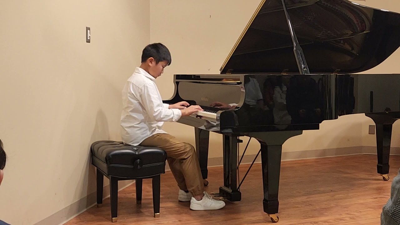 A First Concerto in D Minor by Walter and Carol Noona I.Allegro con brio