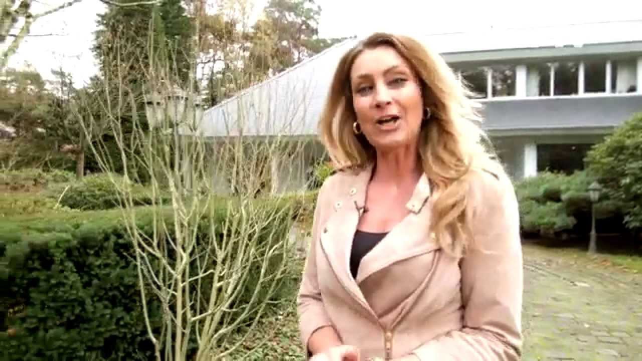 LXRY TV Droomhuis Oisterwijk
