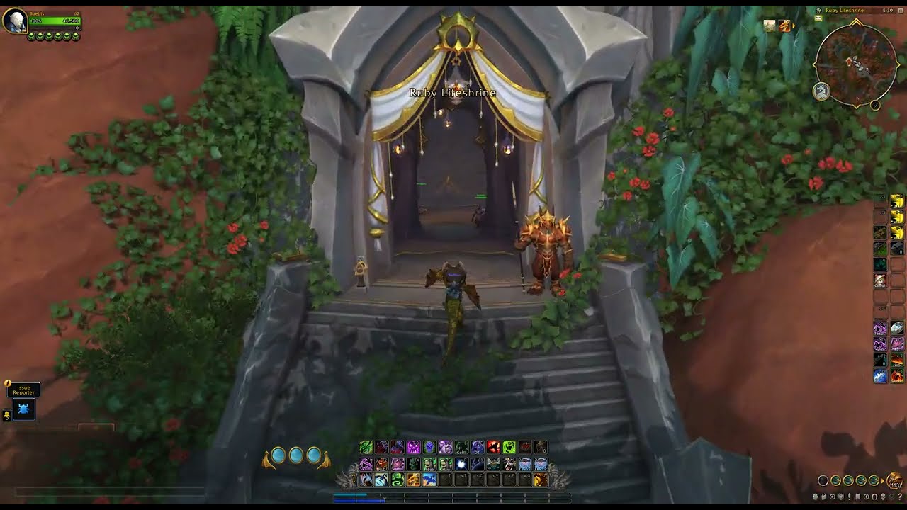 Ruby Lifeshrine Innkeeper Location, WoW Dragonflight