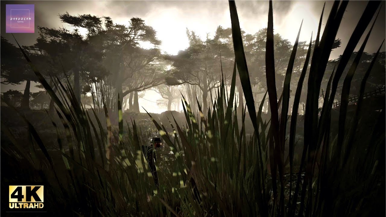 Relaxing Jungle Walk in the Rain in Tom Clancy's Ghost Recon: Wildlands [ Rain Ambience - 4K Ultra ]