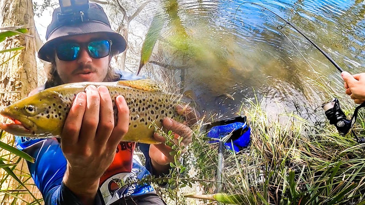Trout Fishing an Australian River