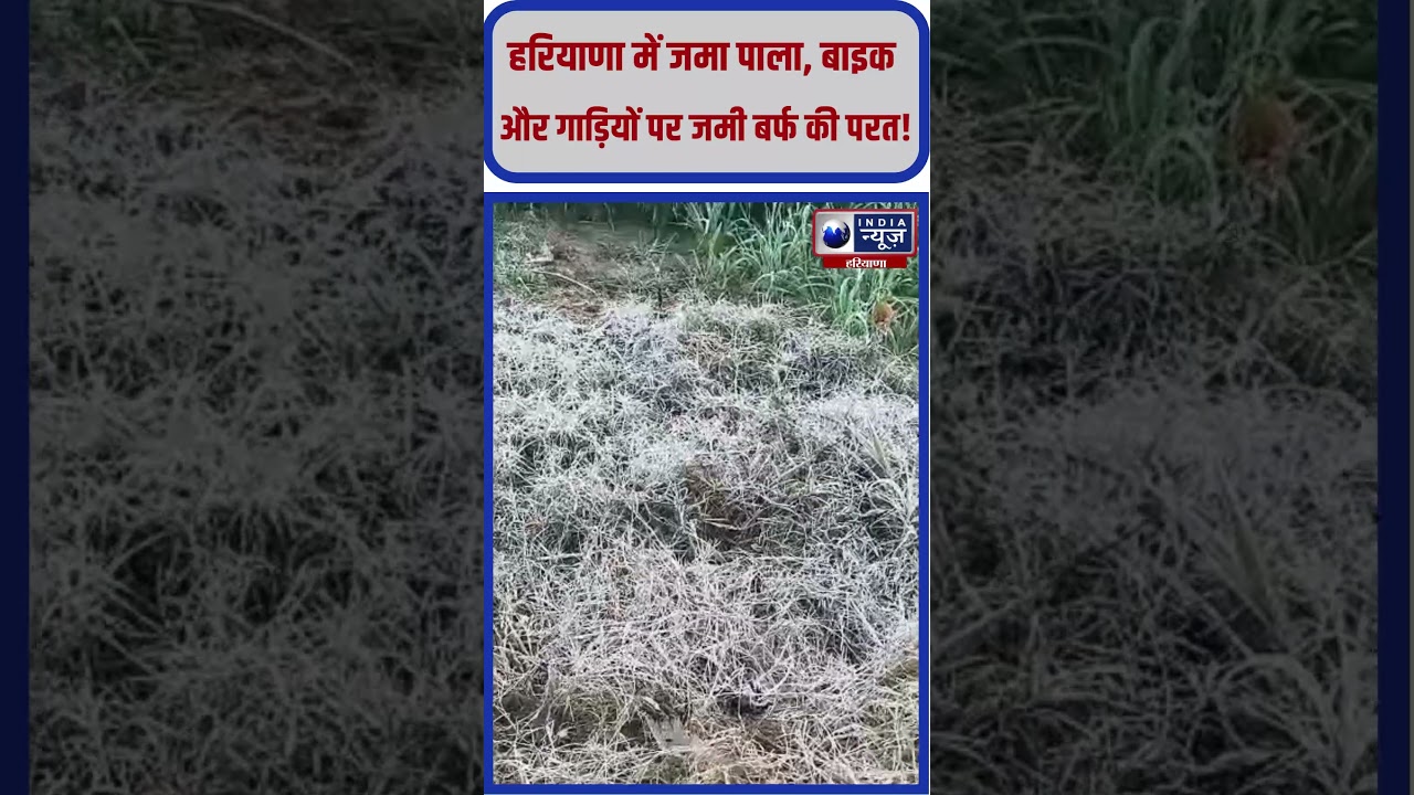 हरियाणा के कई जिलों में पहली बार जमा पाला 