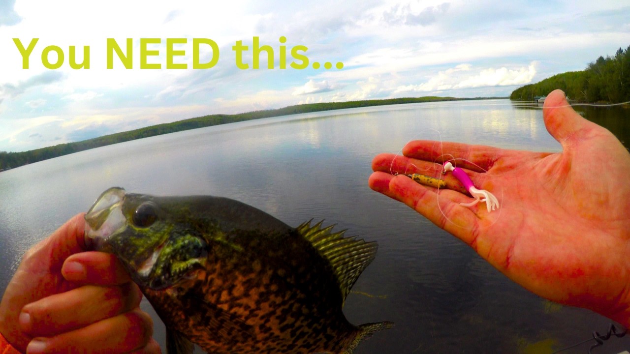 The Ultimate Crappie Jig Setup You’re NOT Using (But Should Be)