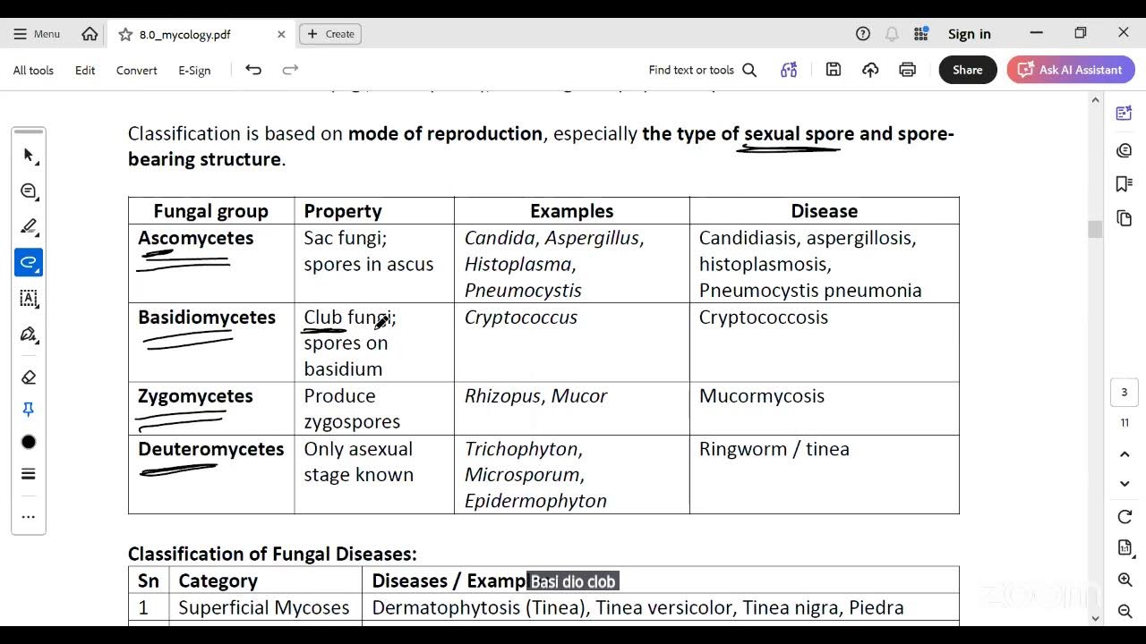 DHA Lab Preparation | DHA Prometric Exam for Medical Laboratory Professionals