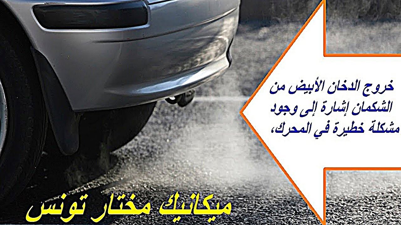 4 اسباب وحلول / ماذا يعني خروج خروج دخان أبيض من شكمان السيارة؟ #automobile #car #cars #foryou #ترند