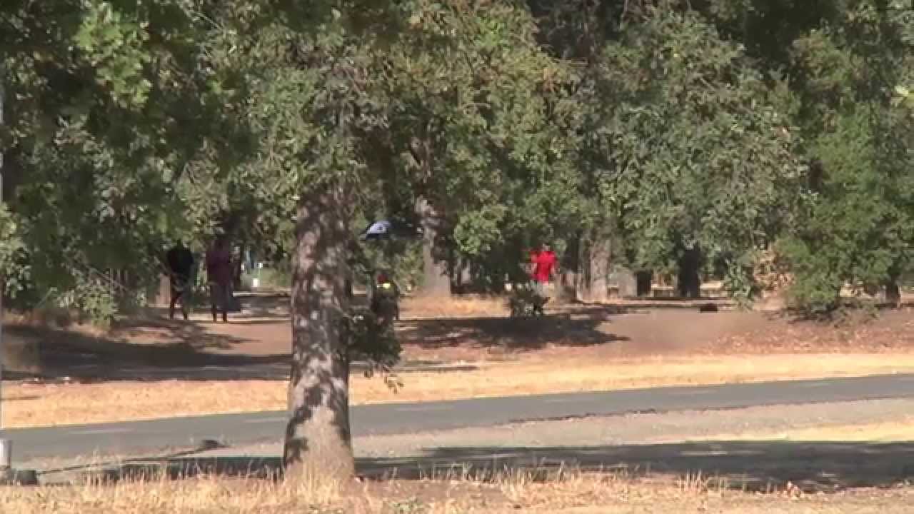 Disc Golf Modesto 10,000