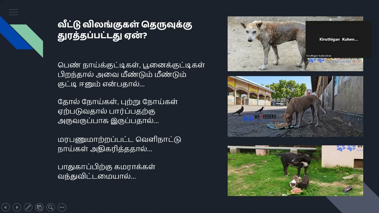 05 14 2023  Kiruthigan  Activities and Requirments of We Feeders Animal Welfare