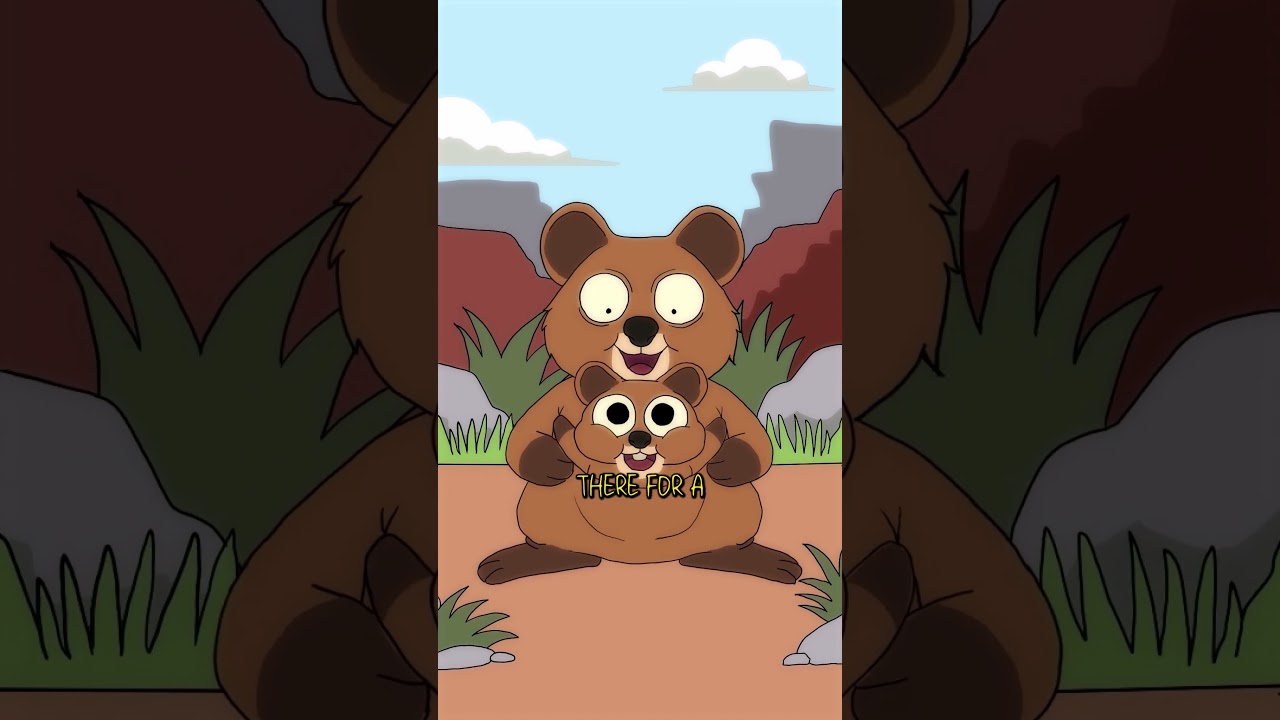 The dark side of the Quokka