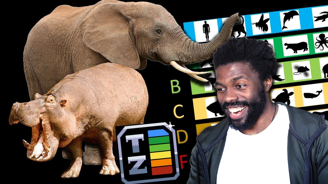 Are Hippos & Elephants OP ? | The Chill Zone Reacts