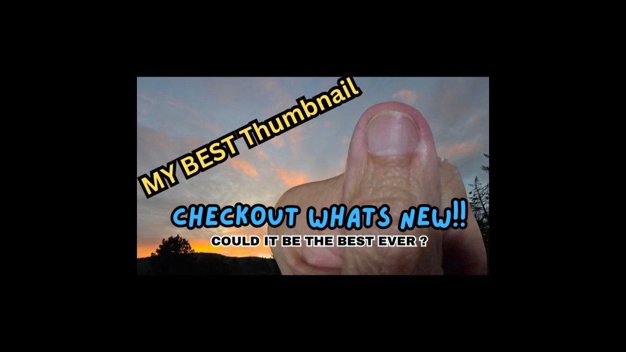 Lucky Day Find! Elk Herd on HWY 30 Oregon 