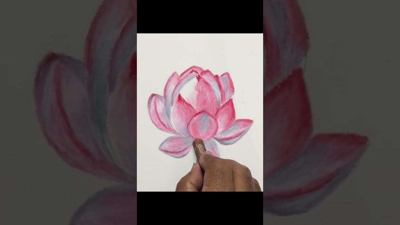 How to Draw a Realistic Lotus with Oil Pastels