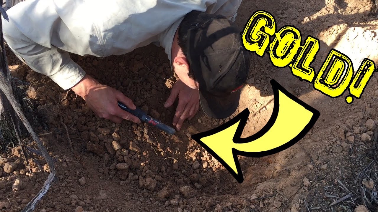 FINDING GOLD! Metal detecting for gold w/ minelab GPZ7000