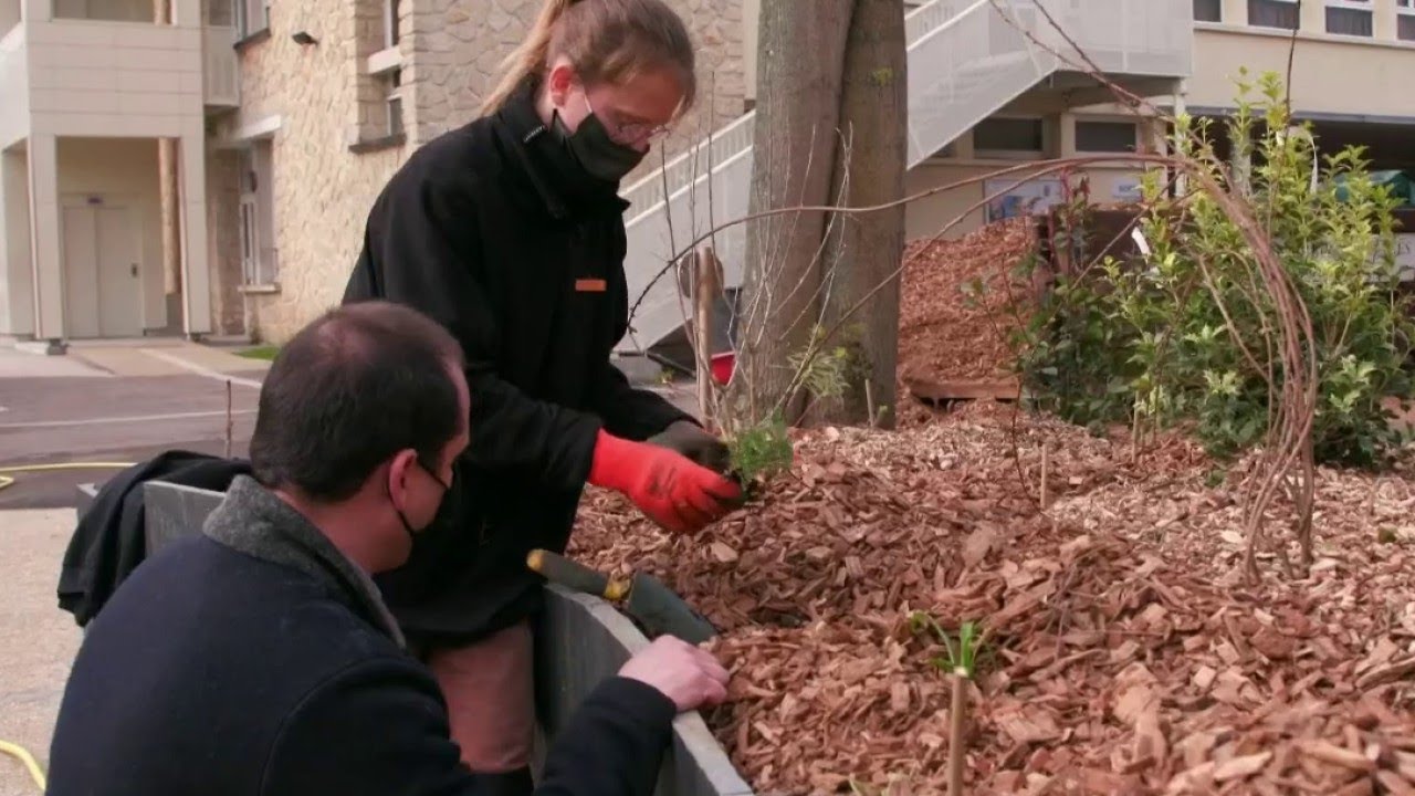 Vie active - Reconversion côté jardin