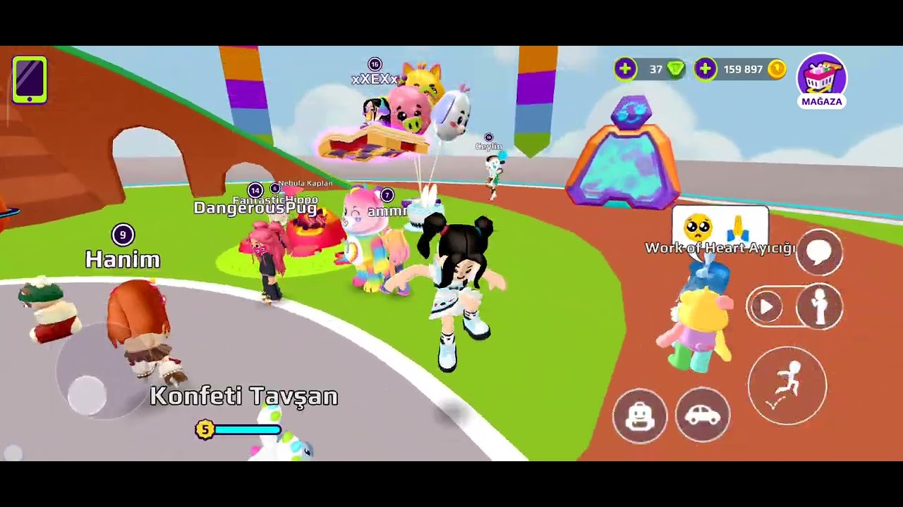 Takas zamanıııııııı🐱🐶🐻🐹🐰🐦🐖