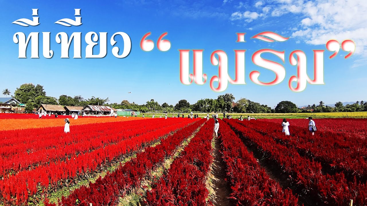 แนะนำ 10 ที่เที่ยวยอดนิยม อำเภอแม่ริม เชียงใหม่