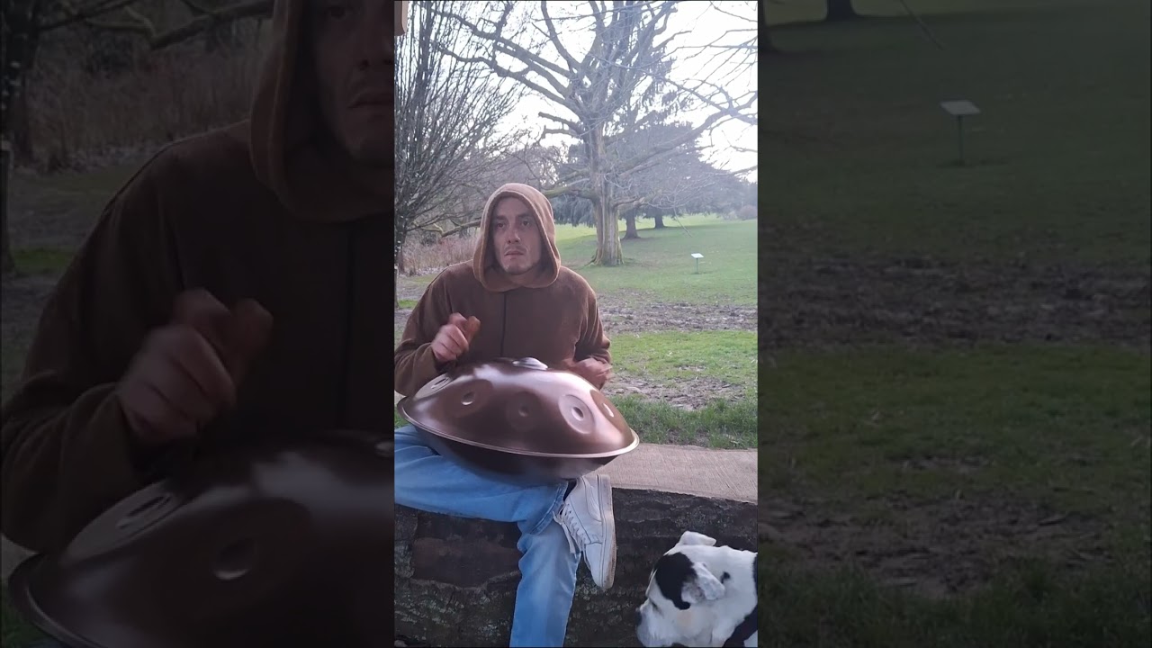 Unseen - Handpan 