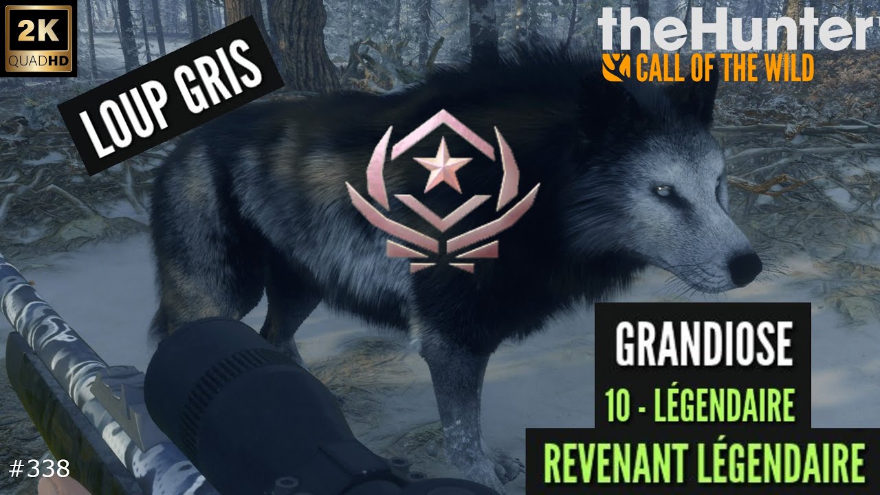THEHUNTER CALL OF THE WILD #338 CHASSE AUX LOUPS GRIS ET DU LVL-10 LÉGENDAIRE SUR MEDVED TAIGA 2025