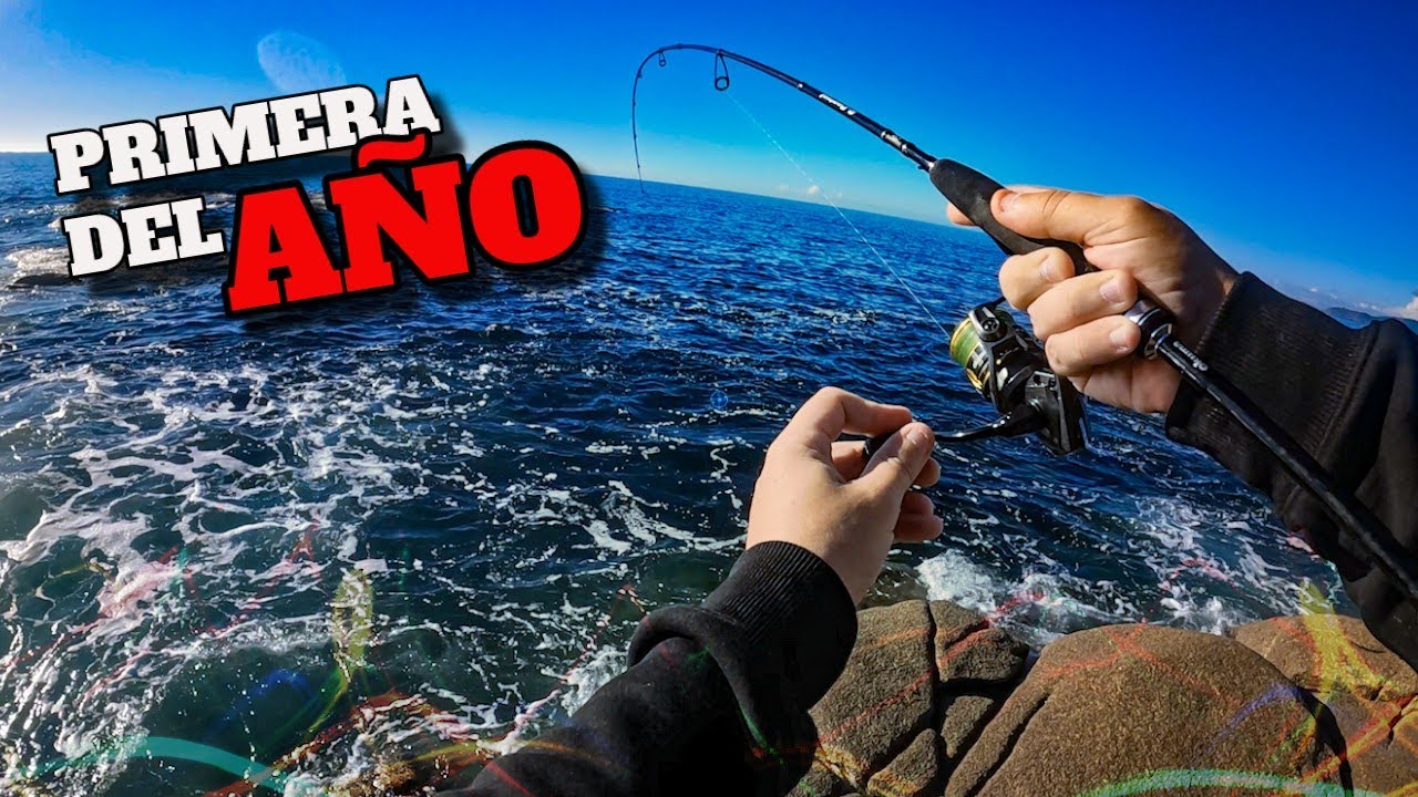 🔥¡Así empieza 2026! 🎣 ¡Y no defrauda! Rockfishing con grandes capturas