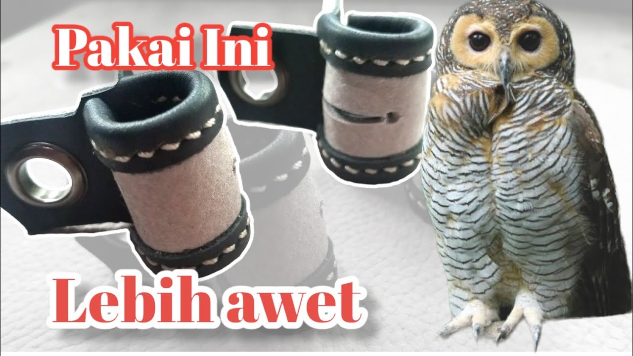 Cara membuat angklet burung alap alap elang dan burung hantu double layer lebih awet dan tahan lama