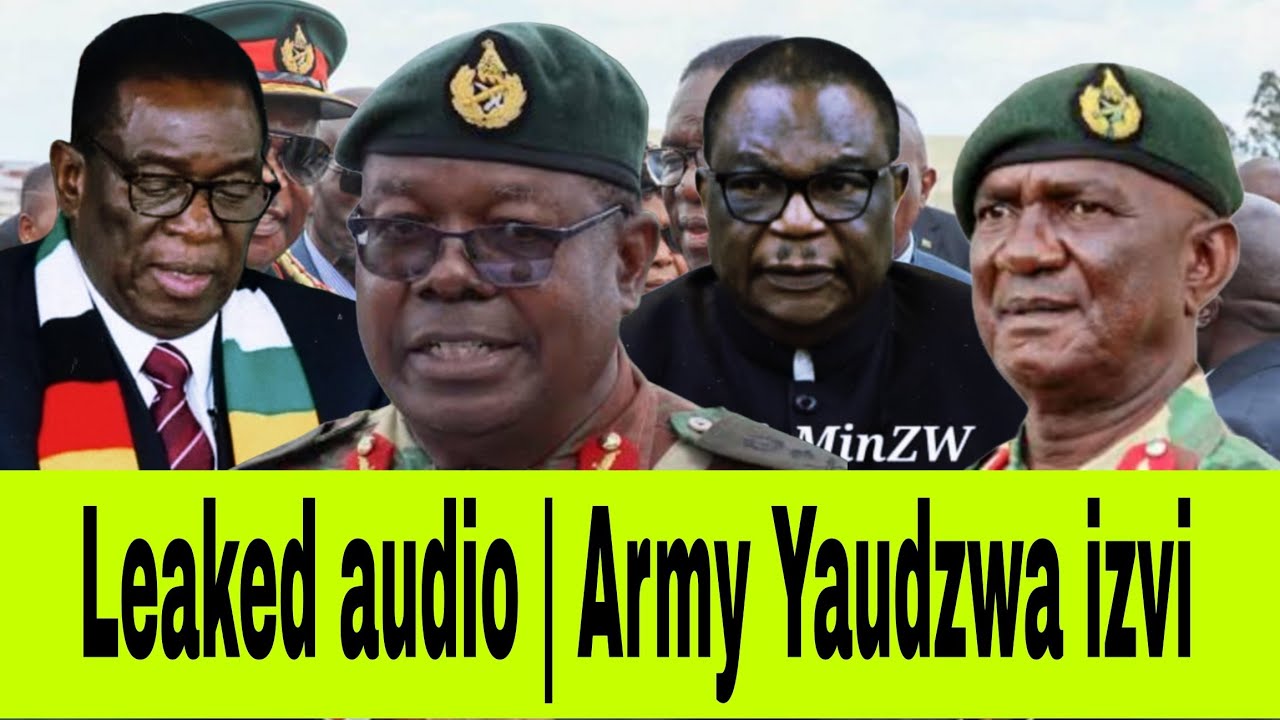 Leaked audio | Army Yotanga kuita action  | ED must go