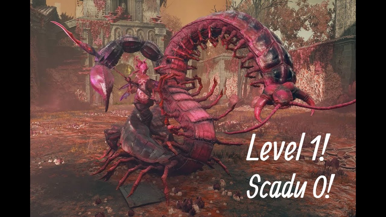 Romina Saint of the Bud Level 1, Scadu 0, No Damage Boss Fight