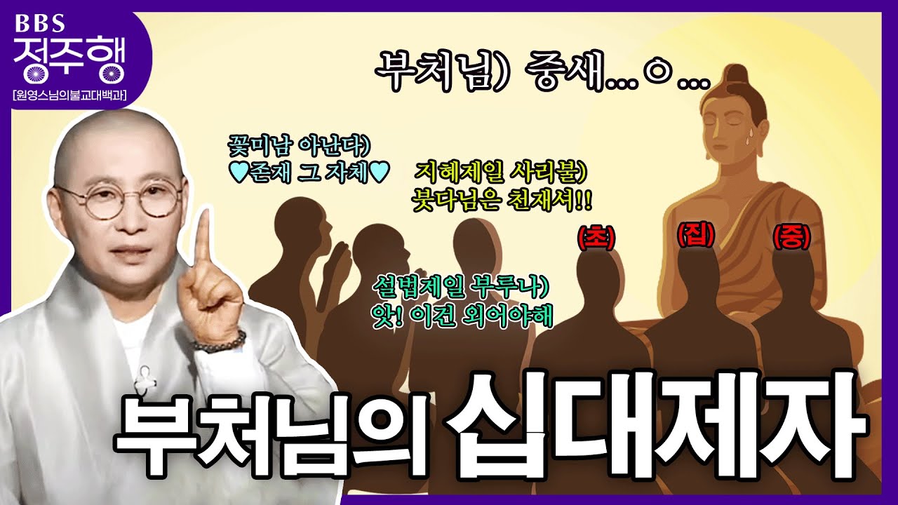 [#정주행] 12사도❓ 불교에는 '십대제자'❗❗부처님과 열 명의 제자들 (=ↀωↀ=)✧ | 원영스님의불교대백과 (5회~6회) #열명의부처님덕후