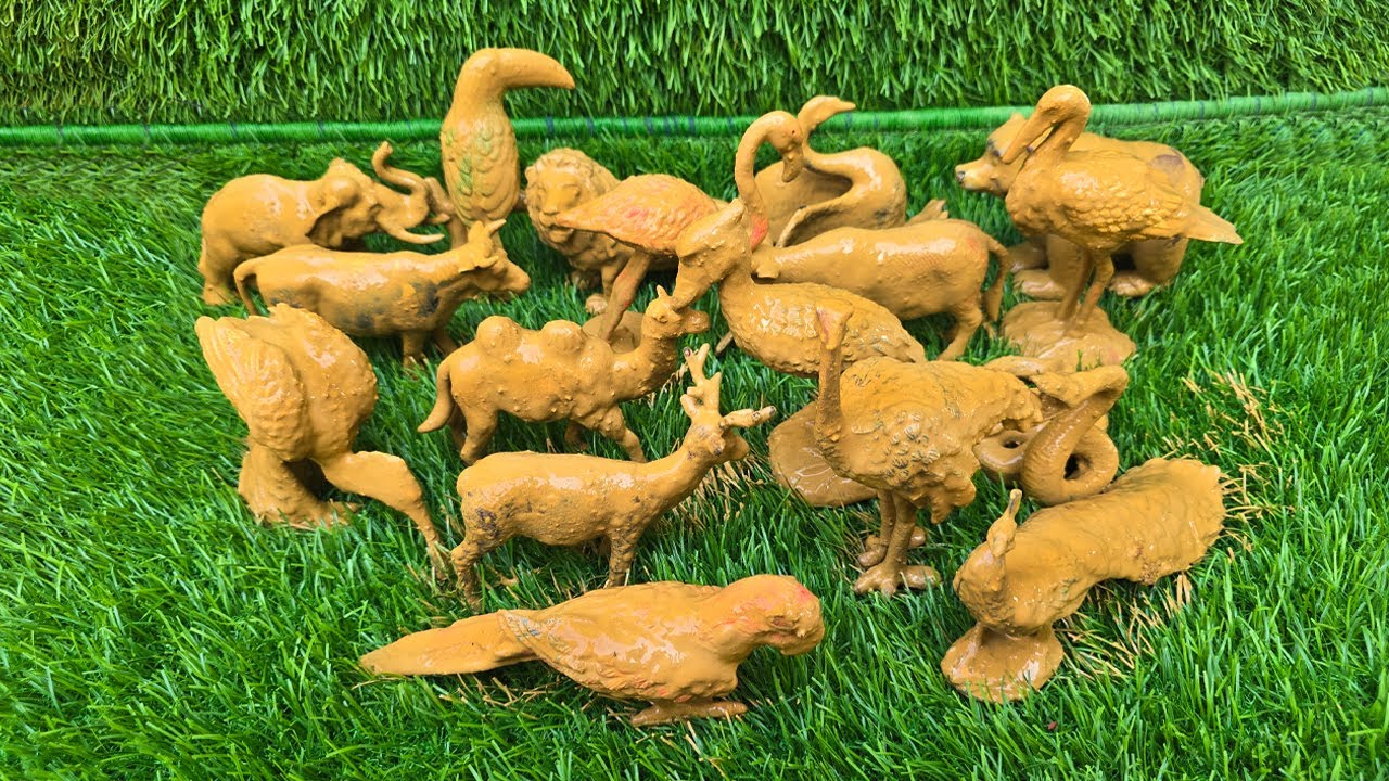 Little Explorers in the jungle: Wildlife, Safari Animals and Birds Unite