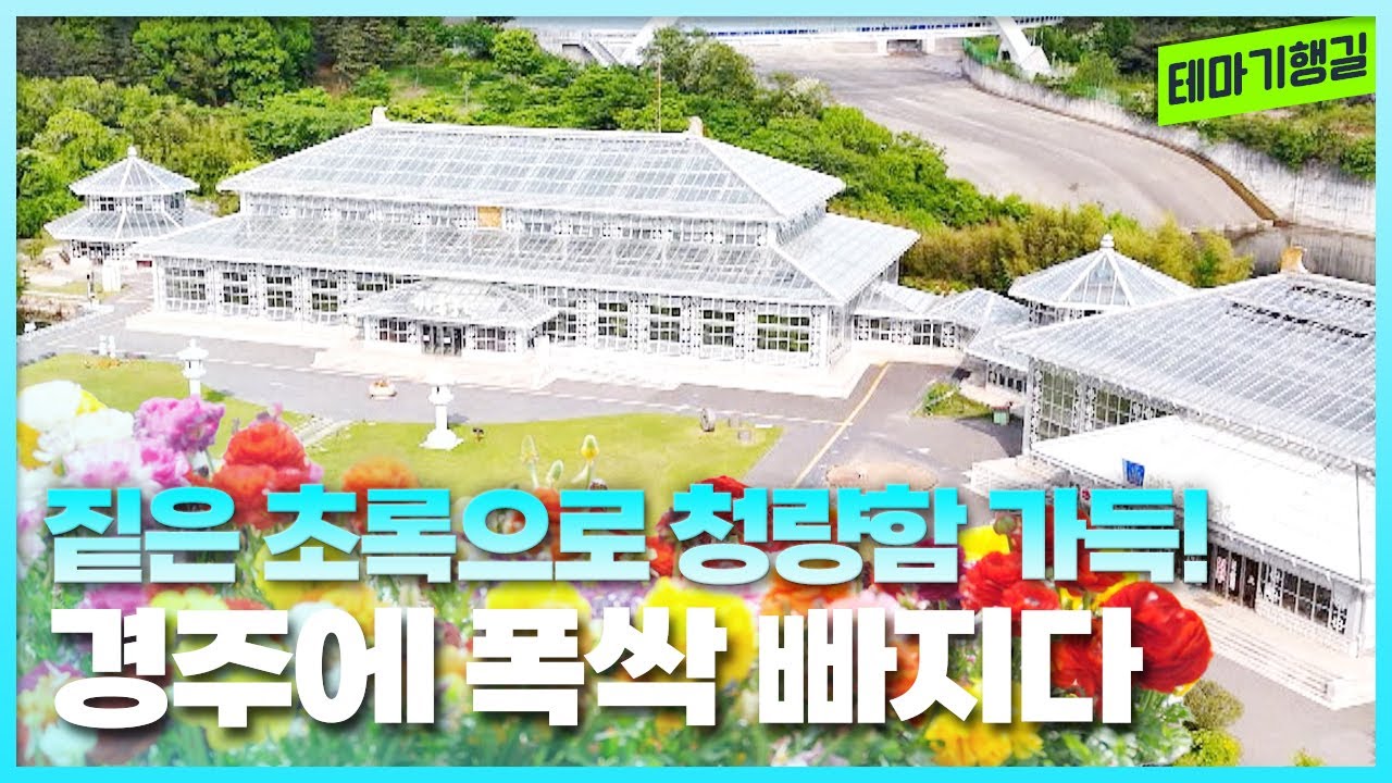 짙은 초록으로 청량함 가득한 경주에 빠지다 | 테마기행길 250523방송