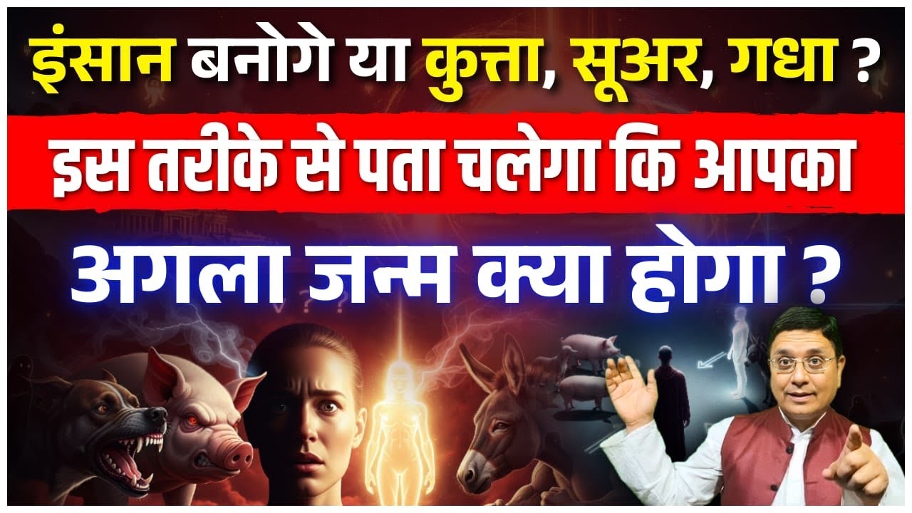 इंसान बनोगे या कुत्ता, सूअर, गधा?  इस तरीके से पता चलेगा कि आपका अगला जन्म क्या होगा?