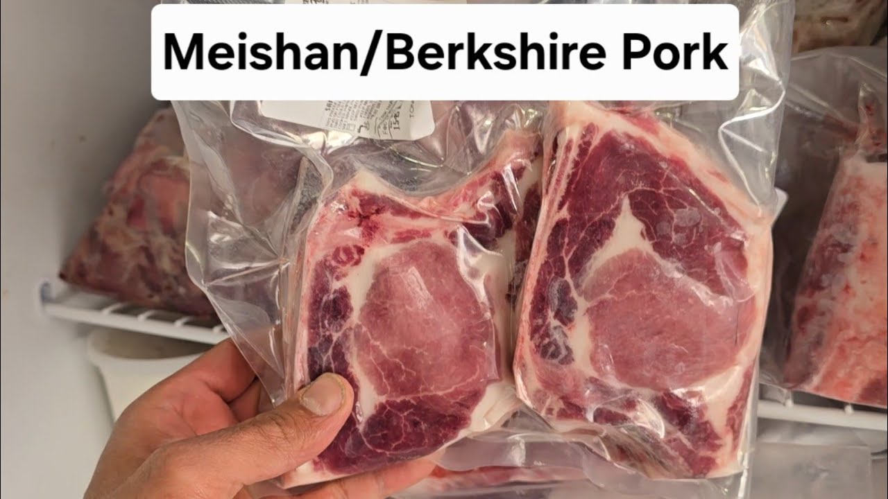 Results Are In: Meishan / Berkshire Cross Pigs - How Did They Turn Out?