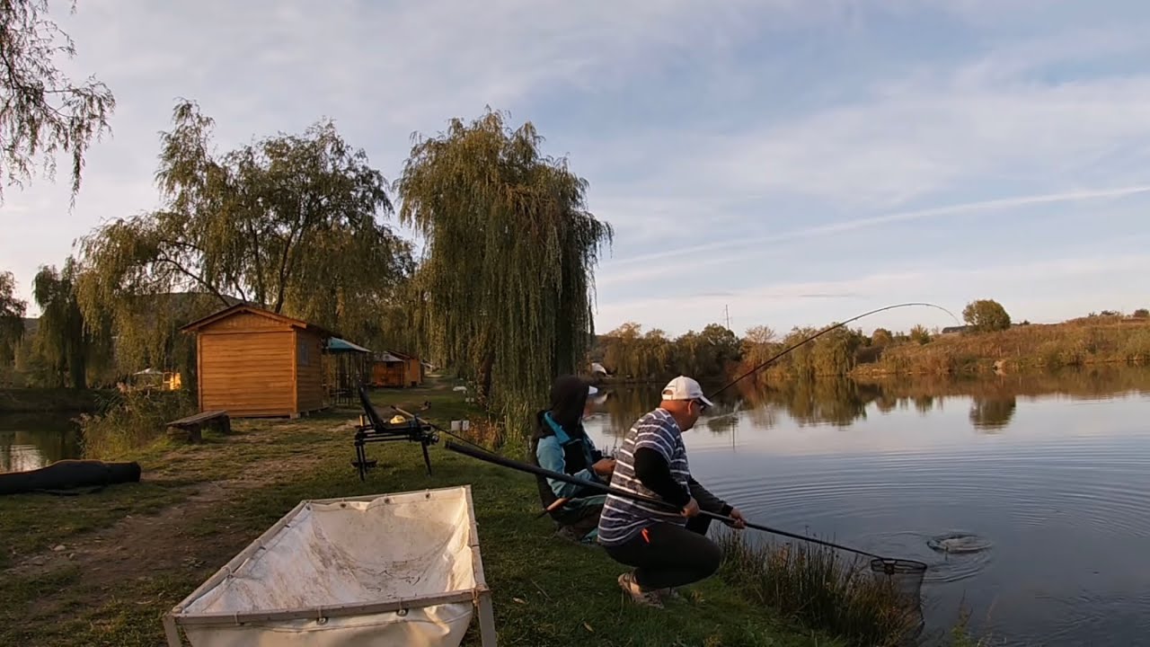 Balta lui Nelu , Sibiu 10.10.2022