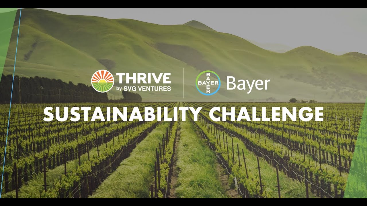 THRIVE | Bayer Sustainability Challenge