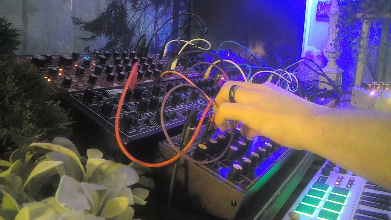 21420261