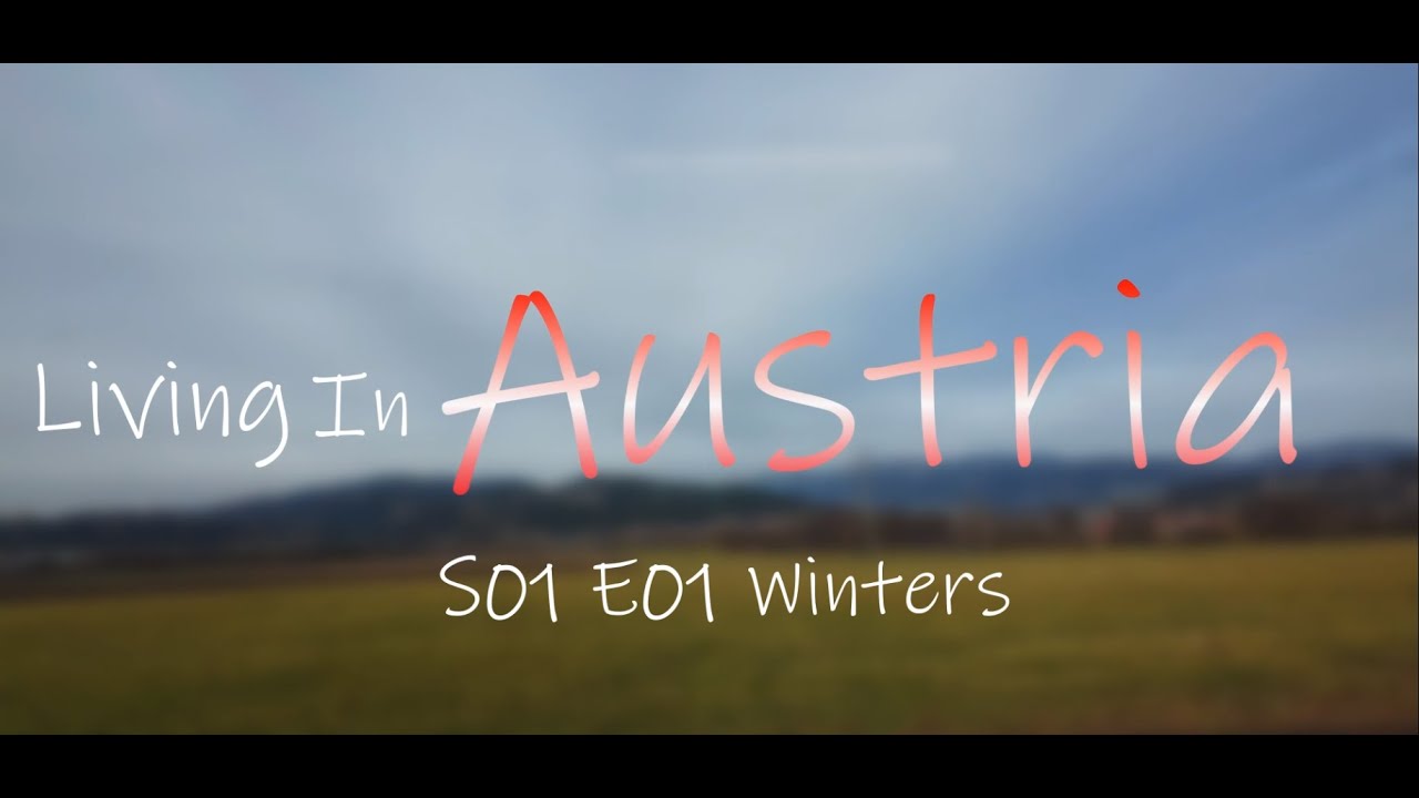 Grocery Shopping in Austria | International Student in Europe | S01E01
