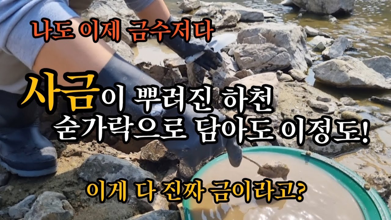 사금이 이렇게 많을줄 몰랐어요!!