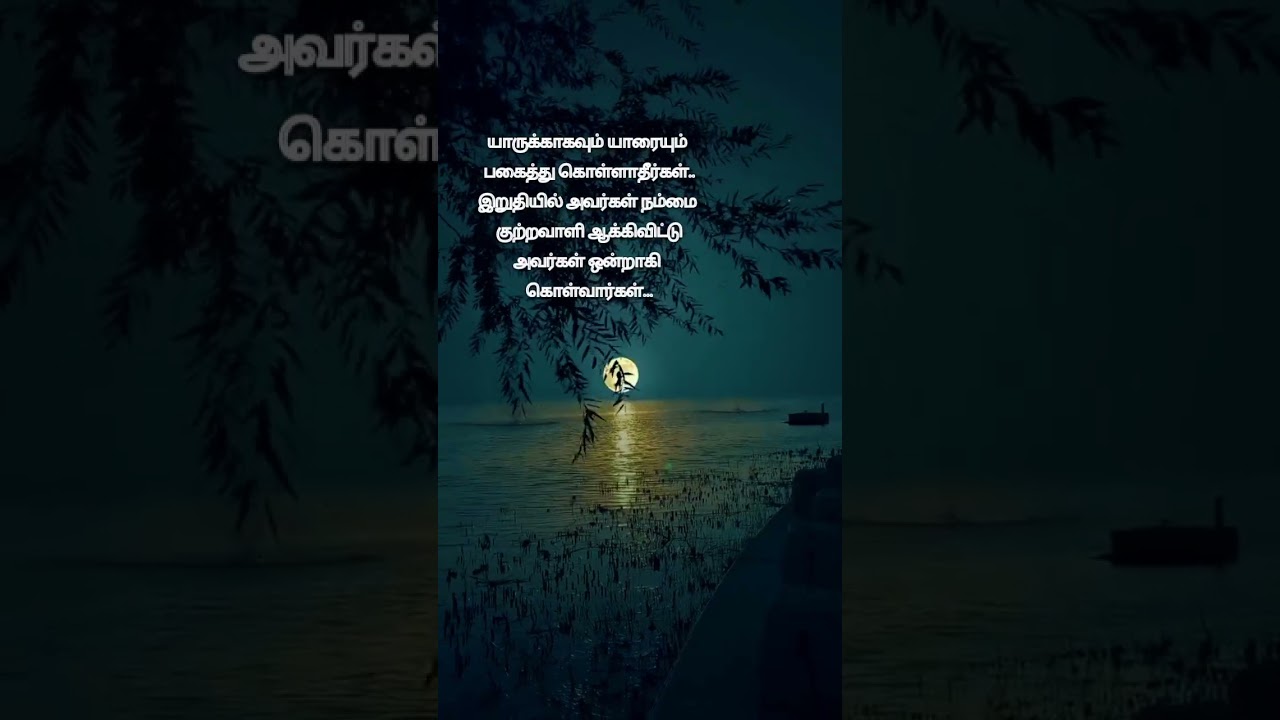 motivation quotes in tamil #shorts #trending #motivation #vetkaichudar